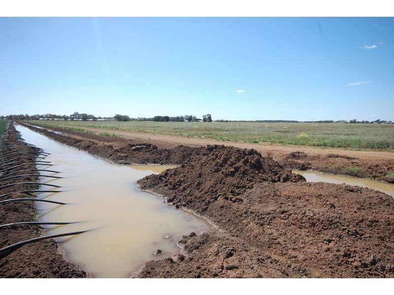 Farm 1060 Crawford Road, Hanwood NSW 2680