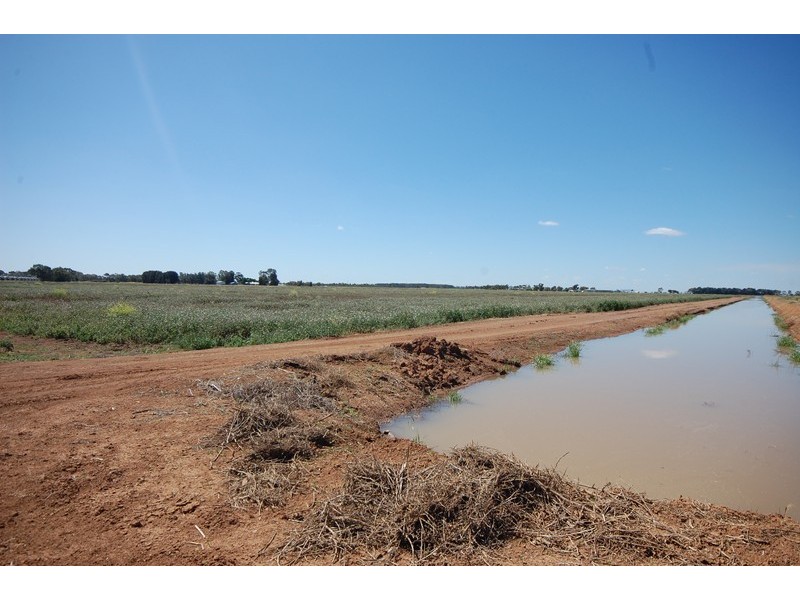 Farm 1060 Crawford Road, Hanwood NSW 2680