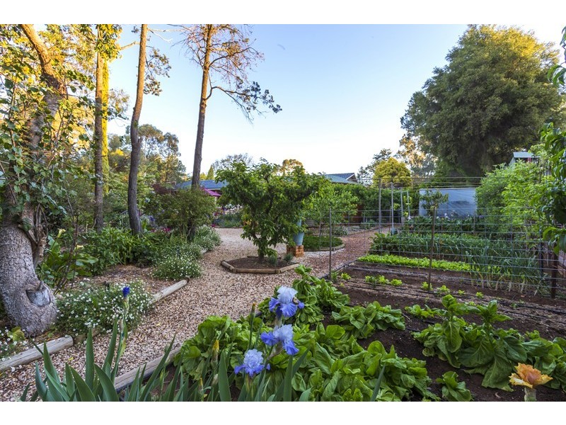 5 Maegraith, Lake Wyangan NSW 2680