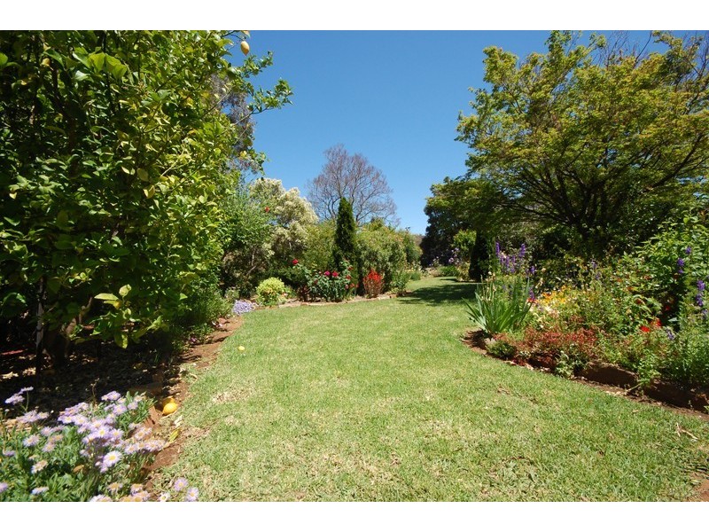 10 Doolan Street, Griffith NSW 2680