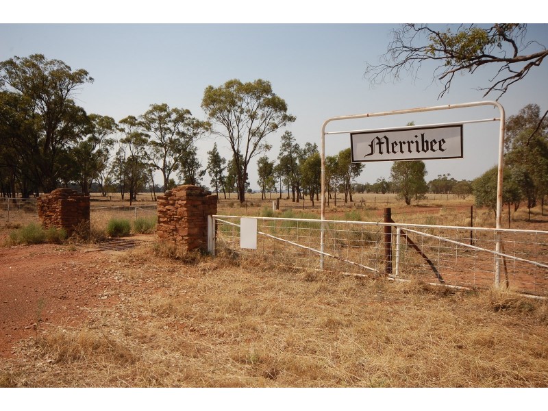 Part ‘MERRIBEE’, Binya NSW 2665