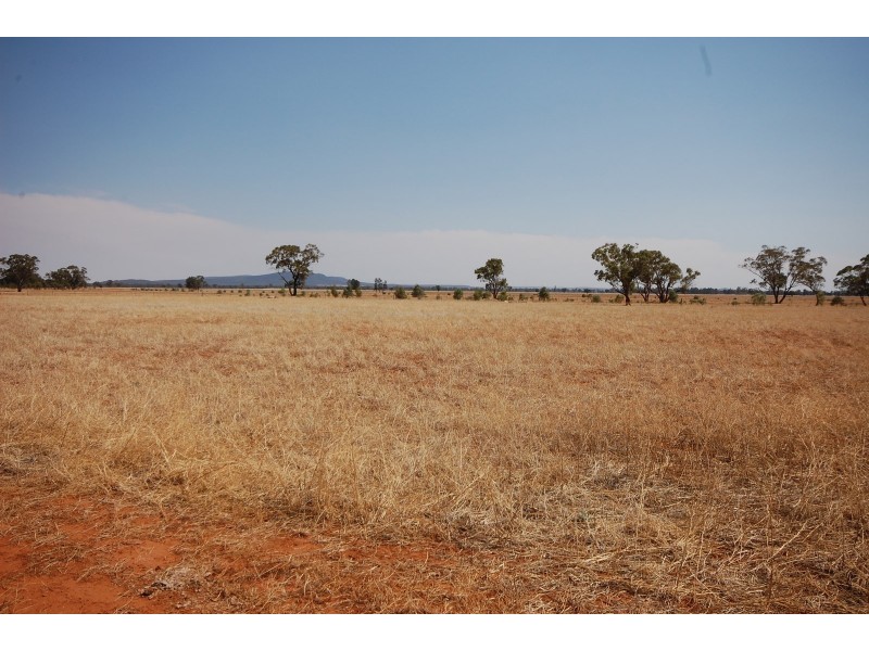 Part ‘MERRIBEE’, Binya NSW 2665