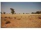 Part ‘MERRIBEE’, Binya NSW 2665