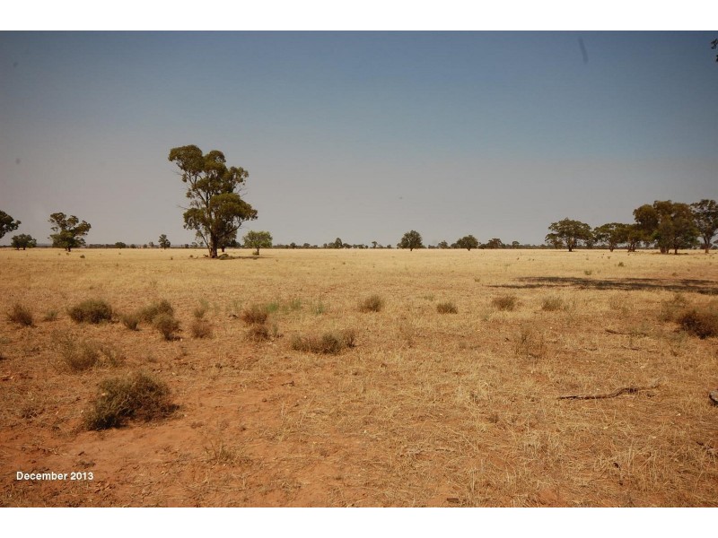 Part ‘MERRIBEE’, Binya NSW 2665