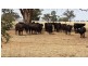 Part ‘MERRIBEE’, Binya NSW 2665