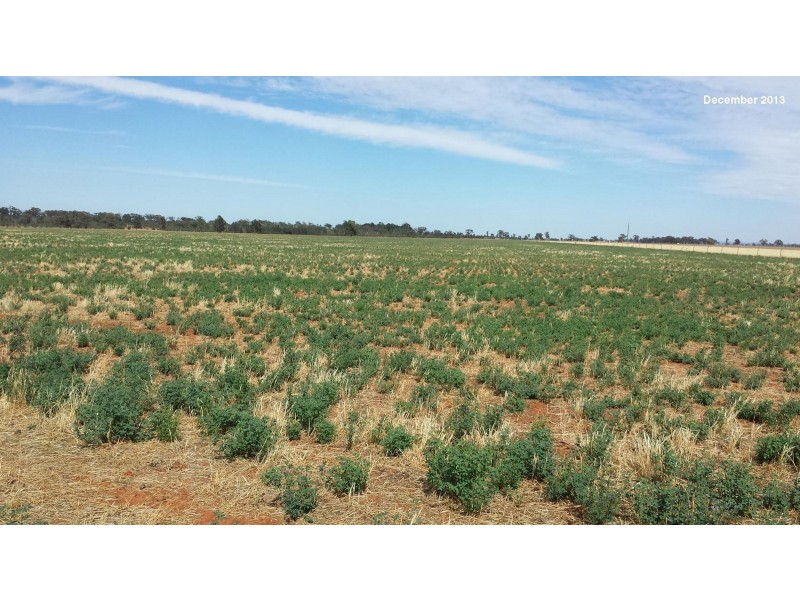 Part ‘MERRIBEE’, Binya NSW 2665