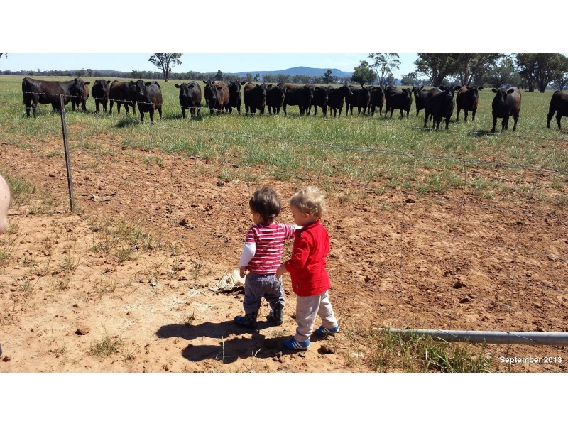Part ‘MERRIBEE’, Binya NSW 2665