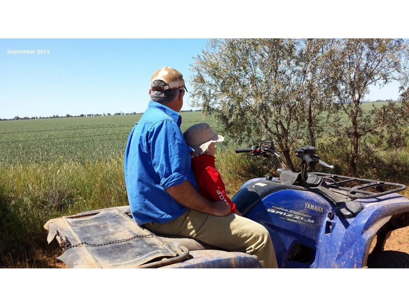 Part ‘MERRIBEE’, Binya NSW 2665