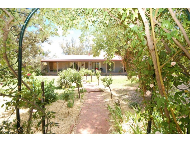 31 McAlister Street, Darlington Point NSW 2706