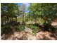 31 McAlister Street, Darlington Point NSW 2706