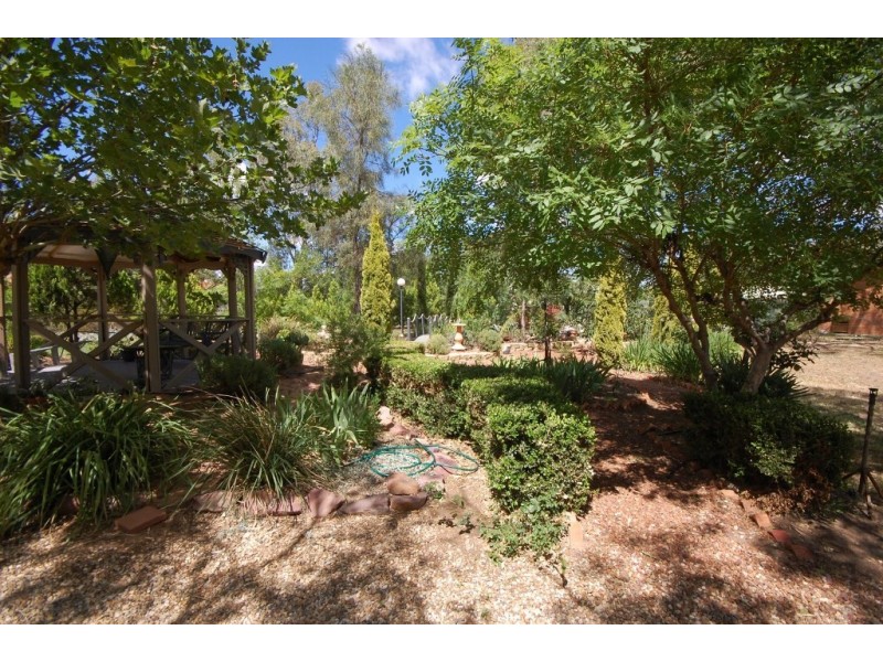 31 McAlister Street, Darlington Point NSW 2706