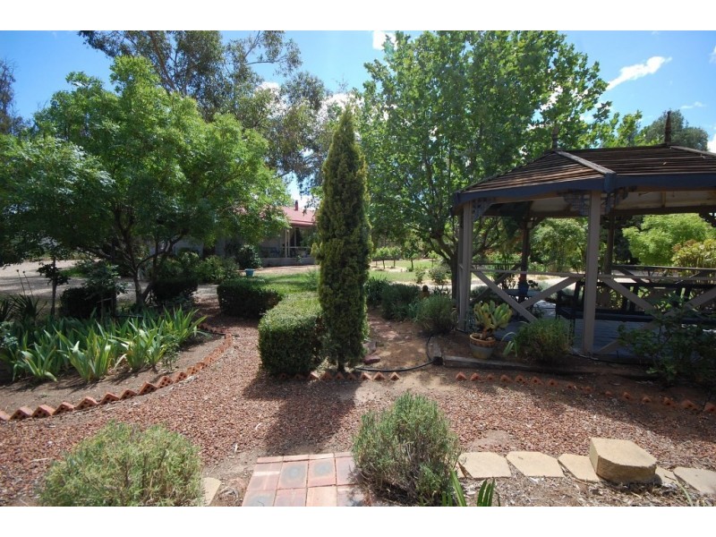 31 McAlister Street, Darlington Point NSW 2706