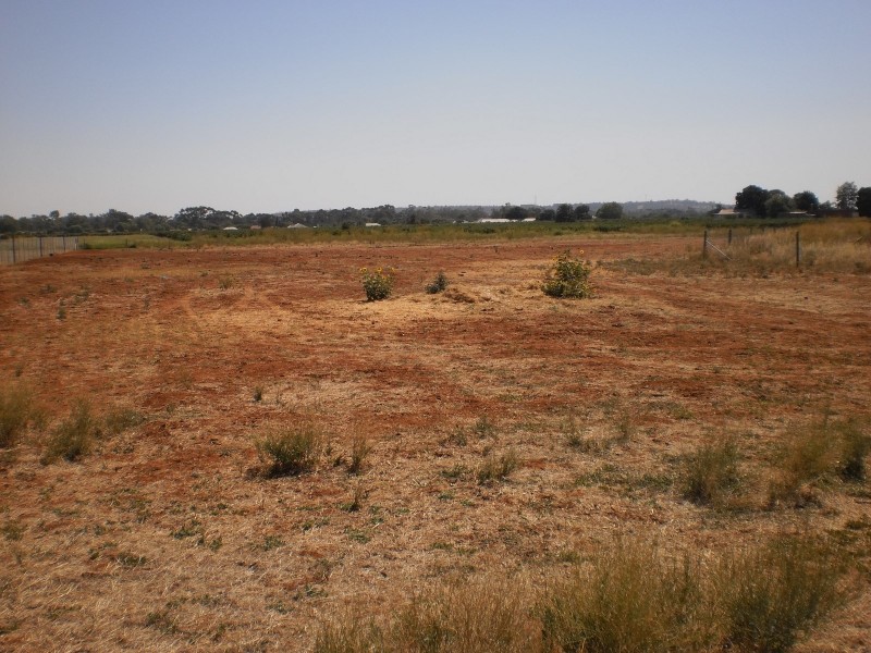 Stafford Road, Griffith NSW 2680