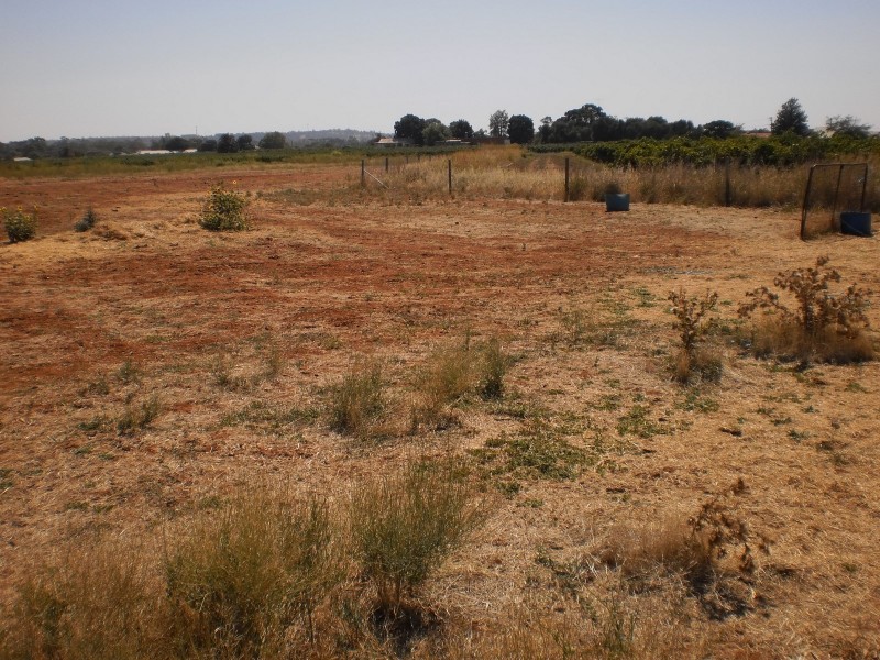 Stafford Road, Griffith NSW 2680