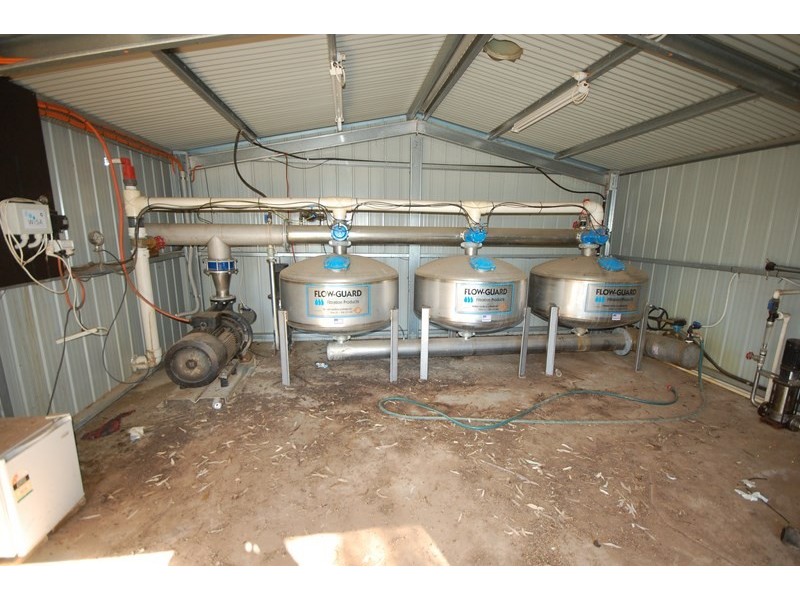 Farm 2687 Pellizer Road, Hanwood NSW 2680