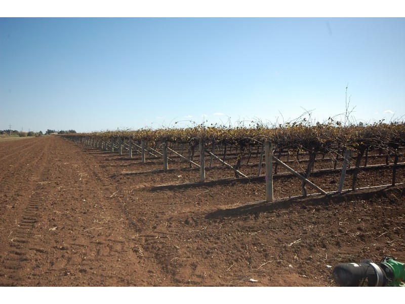 Farm 2687 Pellizer Road, Hanwood NSW 2680