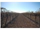 Farm 2687 Pellizer Road, Hanwood NSW 2680