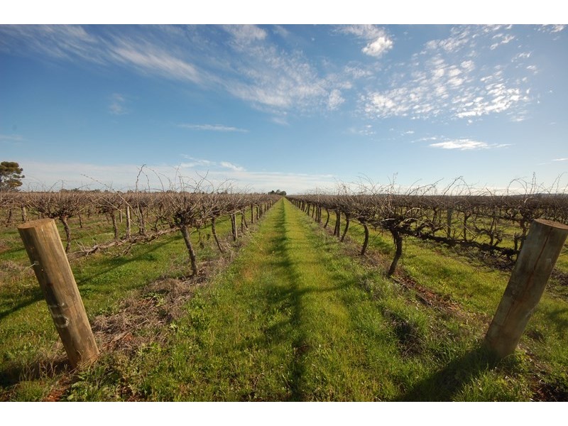 Farms 1367A and 1362B, Yenda NSW 2681