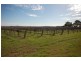 Farms 1367A and 1362B, Yenda NSW 2681