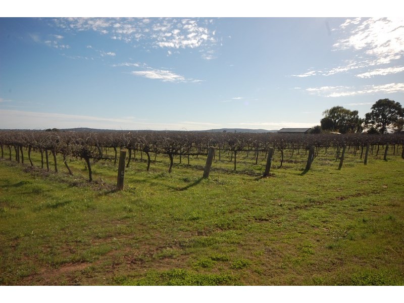Farms 1367A and 1362B, Yenda NSW 2681