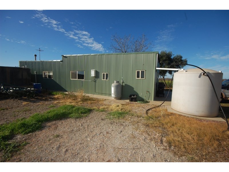 Farms 1367A and 1362B, Yenda NSW 2681