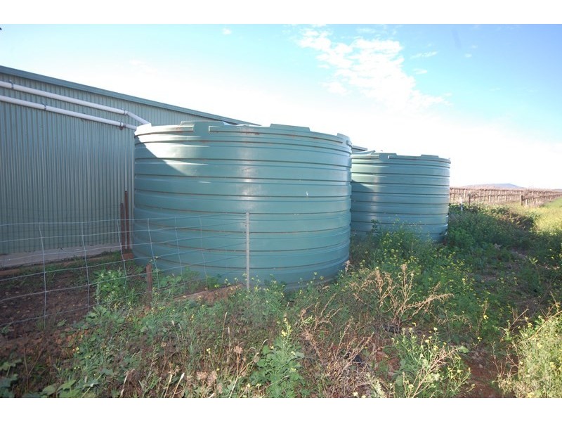Farms 1367A and 1362B, Yenda NSW 2681