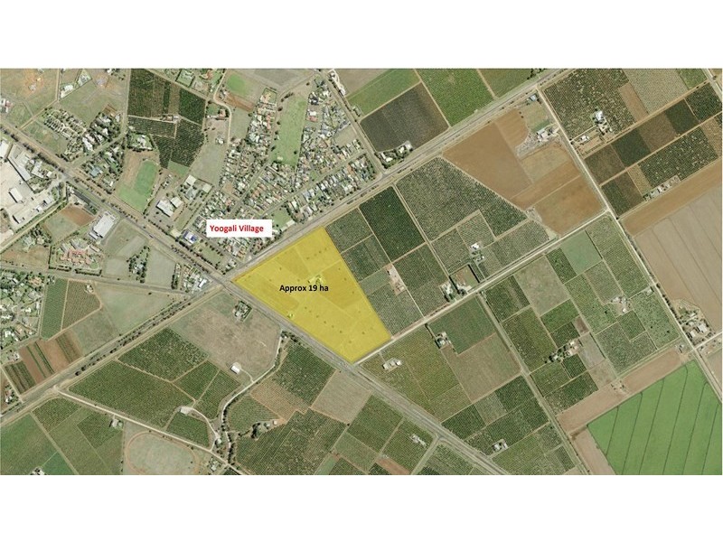 229 Leeton Road, Yoogali NSW 2680