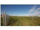 528 Kidman Way, Griffith NSW 2680