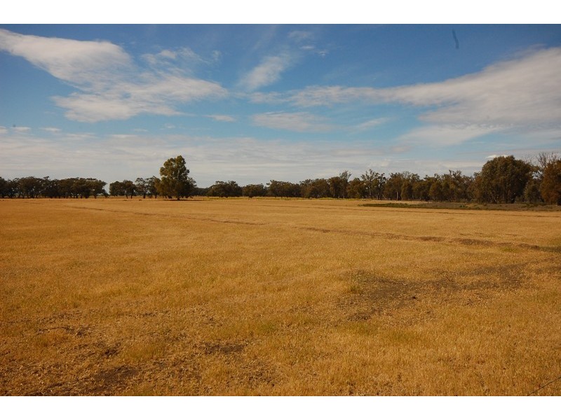 2305 Whitton Rd, Darlington Point NSW 2706