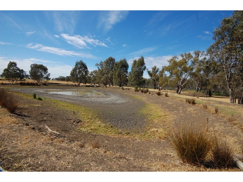 2305 Whitton Rd, Darlington Point NSW 2706