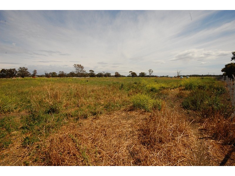 2305 Whitton Rd, Darlington Point NSW 2706