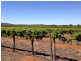 Tharbogang NSW 2680
