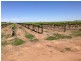 Tharbogang NSW 2680