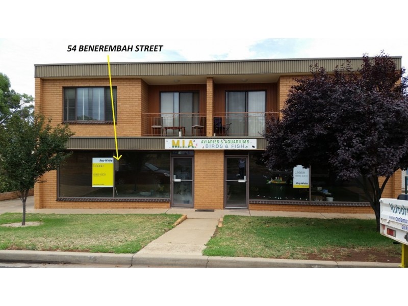 54 BENEREMBAH STREET, Griffith NSW 2680