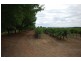 Farm 154 Kidman Way, Hanwood NSW 2680