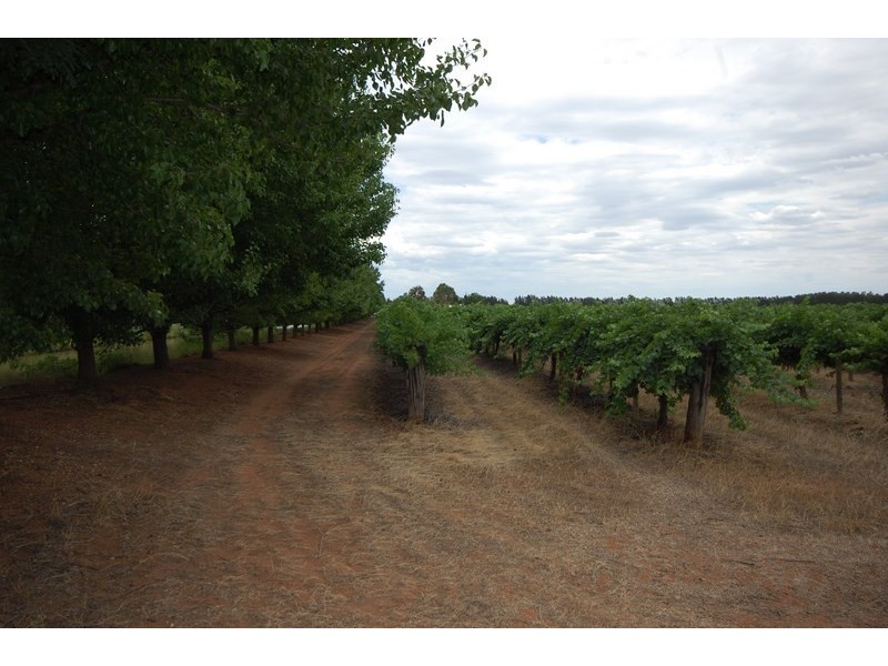 Farm 154 Kidman Way, Hanwood NSW 2680