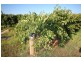 Farm 969 Sidlow Road, Griffith NSW 2680