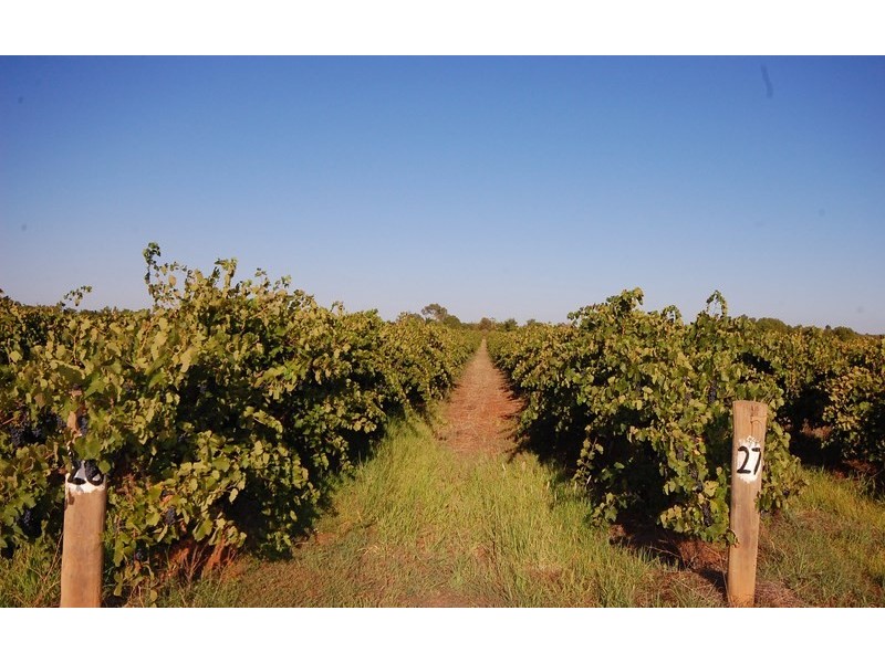 Farm 969 Sidlow Road, Griffith NSW 2680