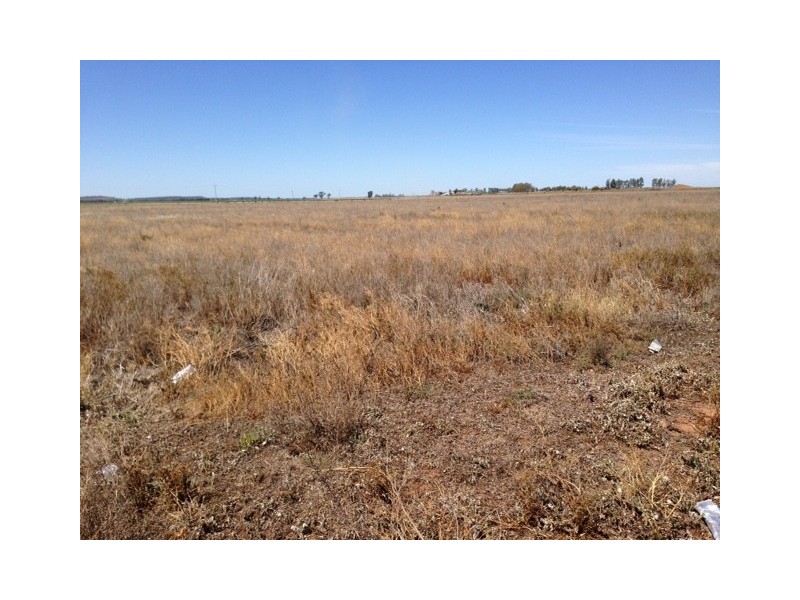 Vacant Land, Tharbogang NSW 2680