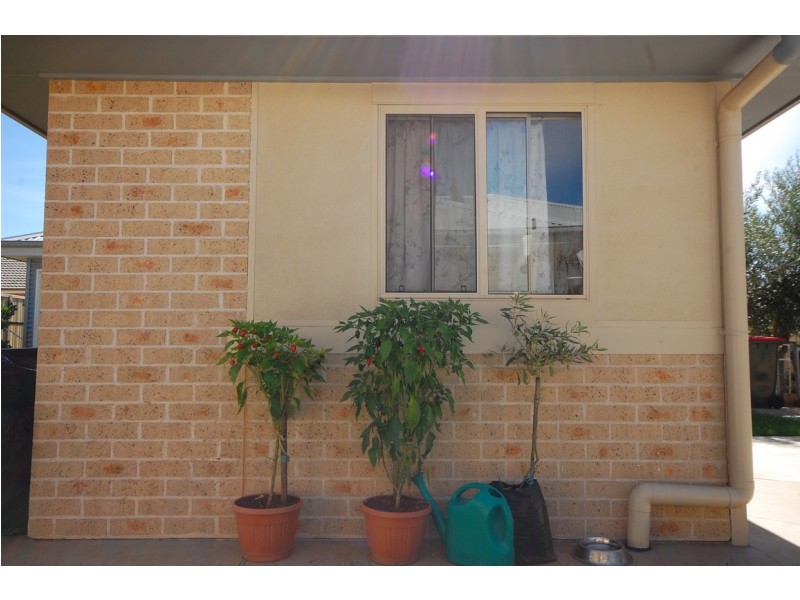 41 Verri Street, Griffith NSW 2680