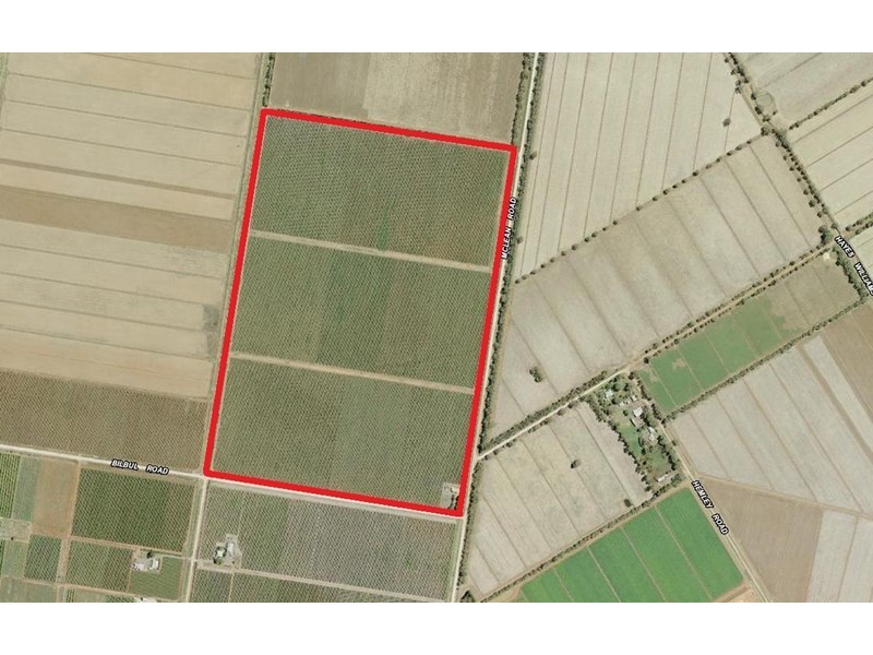 Farm 1444a Bilbul Road, Bilbul NSW 2680