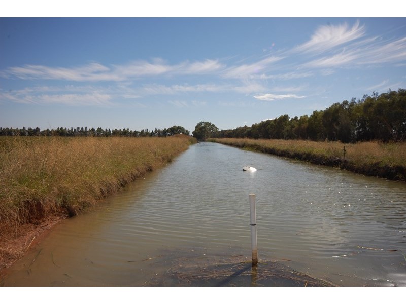 Farm 1444a Bilbul Road, Bilbul NSW 2680
