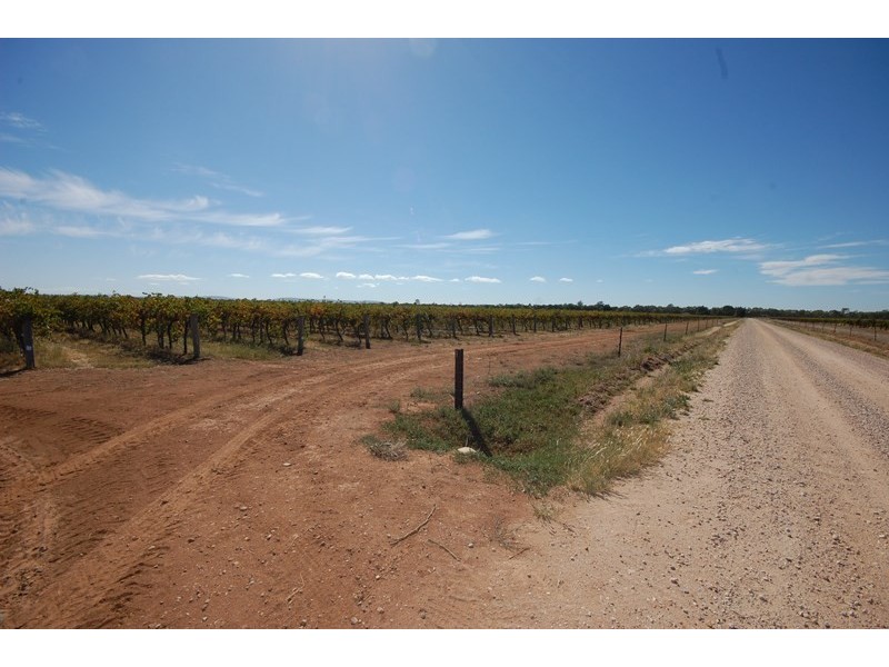 Farm 1444a Bilbul Road, Bilbul NSW 2680