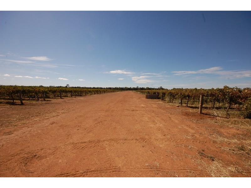 Farm 1444a Bilbul Road, Bilbul NSW 2680