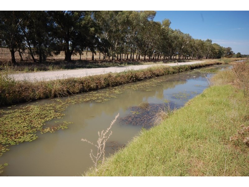 Farm 1444a Bilbul Road, Bilbul NSW 2680
