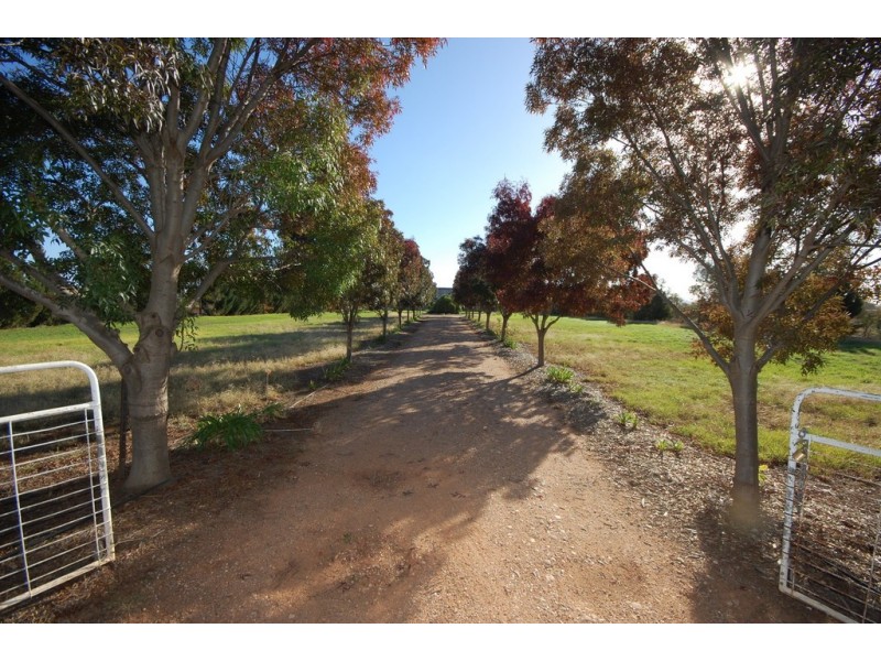 17 Colinroobie Road, Leeton NSW 2705