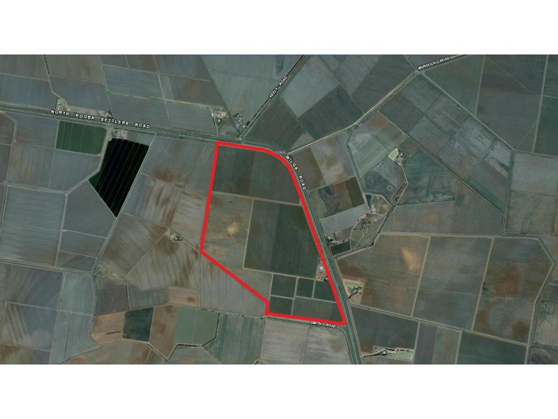 Farm 1955, Willbriggie NSW 2680