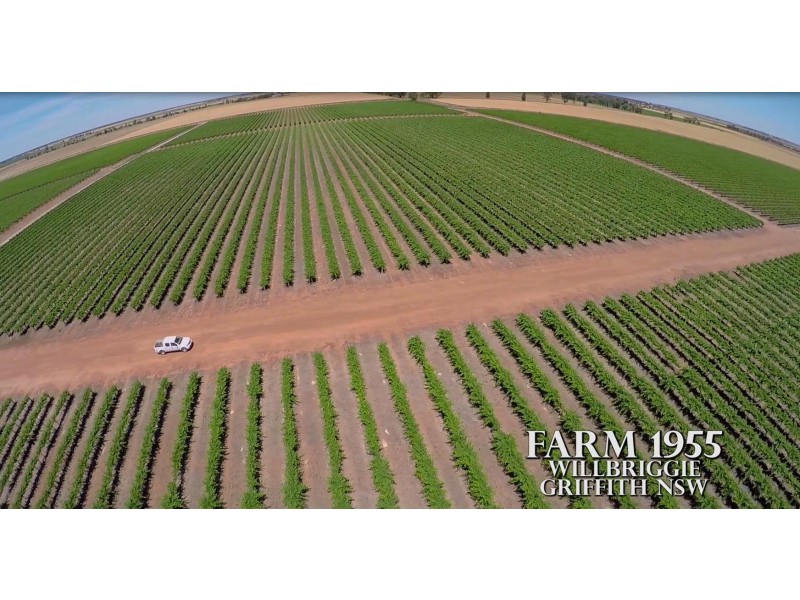 Farm 1955, Willbriggie NSW 2680