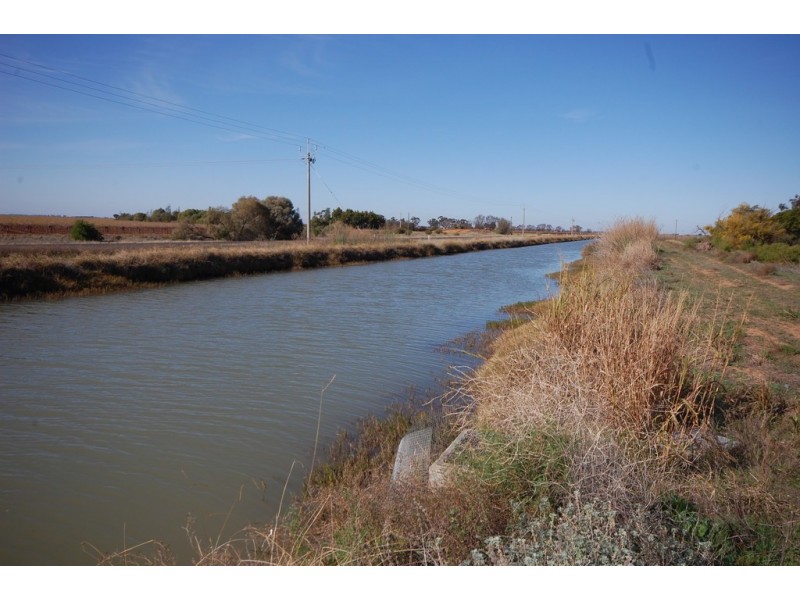 Farm 1955, Willbriggie NSW 2680