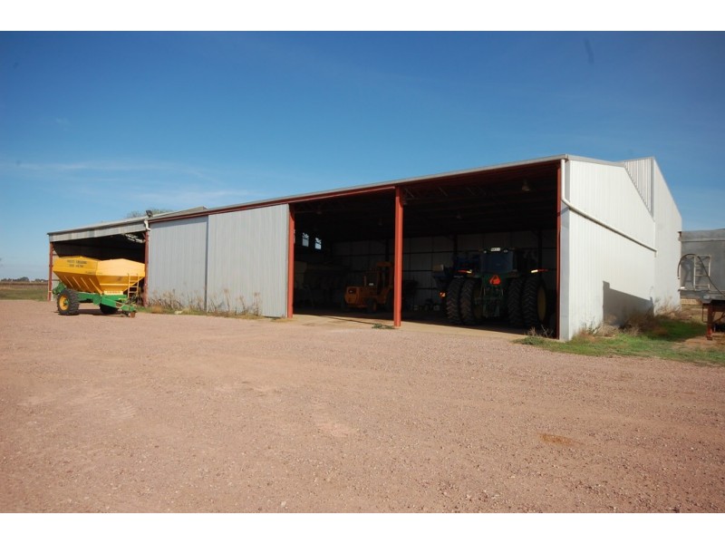 Farm 1955, Willbriggie NSW 2680